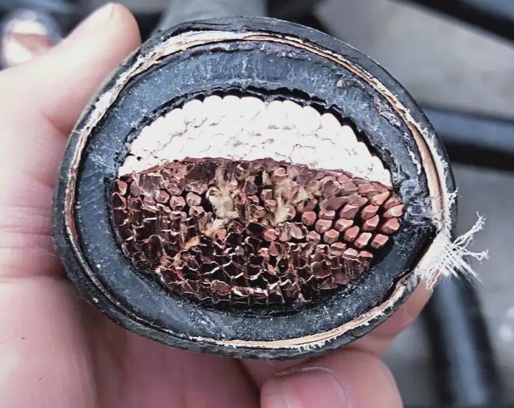 南方珠江電線電纜是現(xiàn)代社會中不可或缺的基礎(chǔ)設(shè)施.jpg 南方珠江電線電纜是現(xiàn)代社會中不可或缺的基礎(chǔ)設(shè)施.jpg